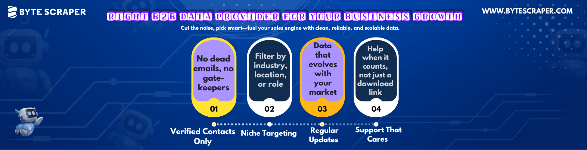 How to Choose the Right B2B Data Provider for Your Business Growth?